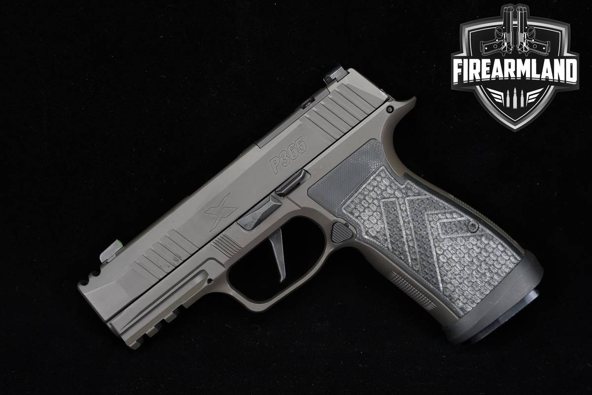 Sig Sauer P365 AXG Legion Optics Ready 9mm 3.1" Gray P-365 +3 MAG & HOLSTER