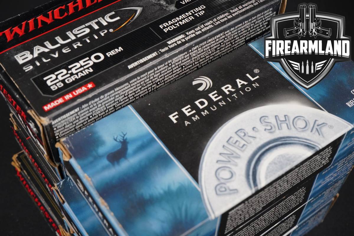 160 RDS! 22-250 Rem Ammo Ammunition
