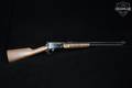 Henry Repeating Arms Model H003T Pump-Action Octagon .22 S/L/LR Blued in Excellent Condition Image 3