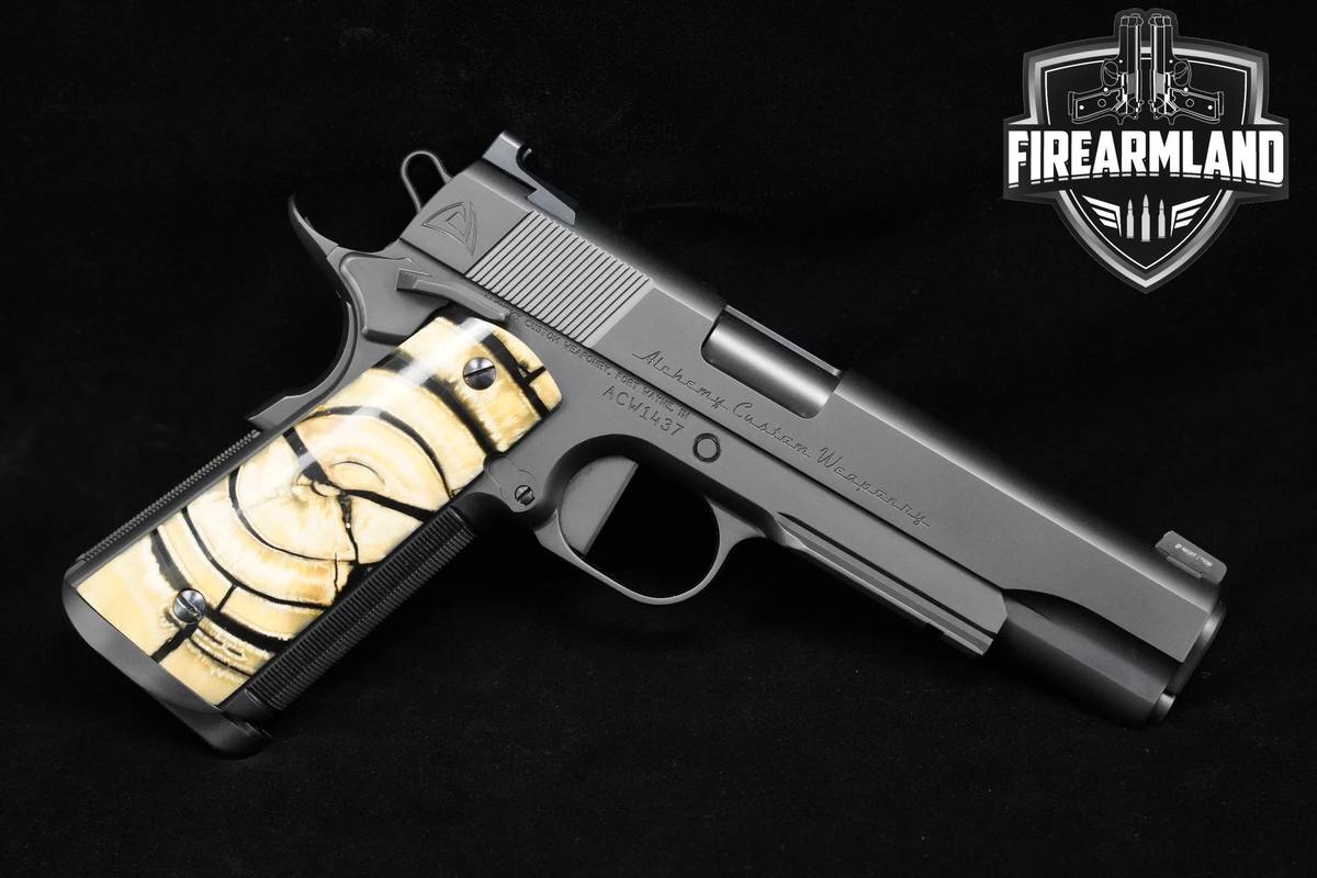 Alchemy Custom Weaponry Quantico 45 ACP 1911 5"  ACW Quantico 1911 +2 MAGS