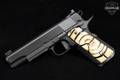 Alchemy Custom Weaponry Quantico .45 ACP Blue in Excellent Condition Image 3