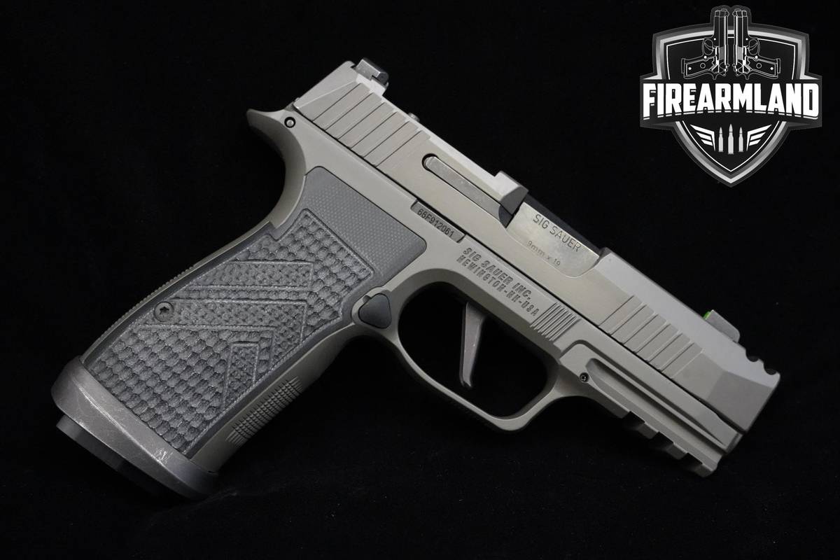 Sig Sauer P365 AXG Legion 9mm Legion Gray Sig-Sauer P365 2 MAGS & ORIG CASE