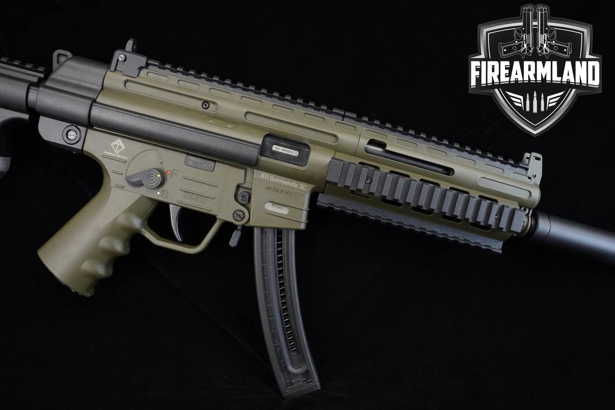 German Sport Guns (GSG) GSG-16 Carbine RIA 22LR ODG GSG-16 GSG16 +ORIG BOX