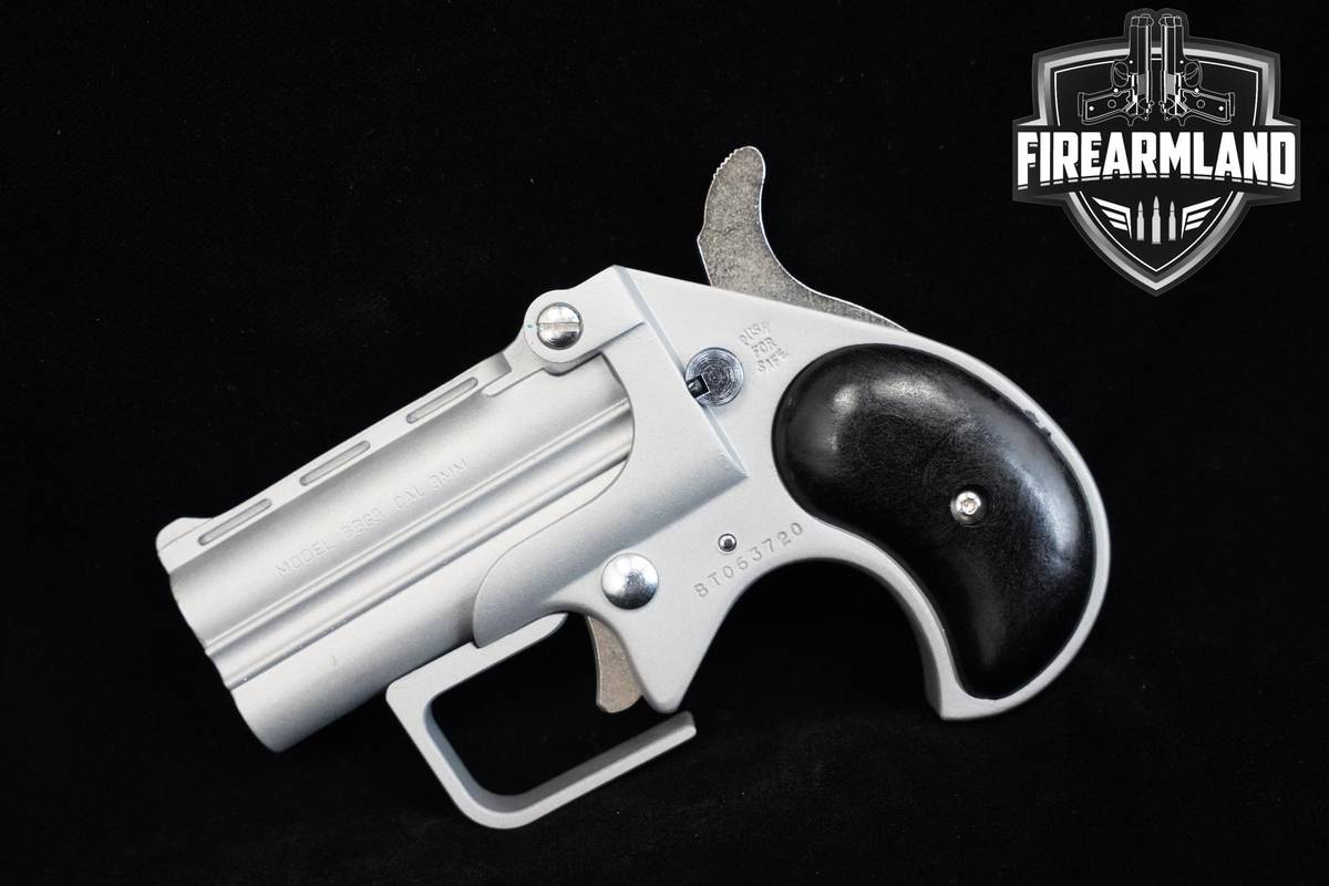 Bearman Model BBG9 9mm 2.75" Matte Silver DERRINGER Bearman BBG9 +ORIG BOX