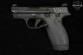 Smith & Wesson (S&W) Bodyguard 2.0 TS .380 ACP Black in Excellent Condition Image 3
