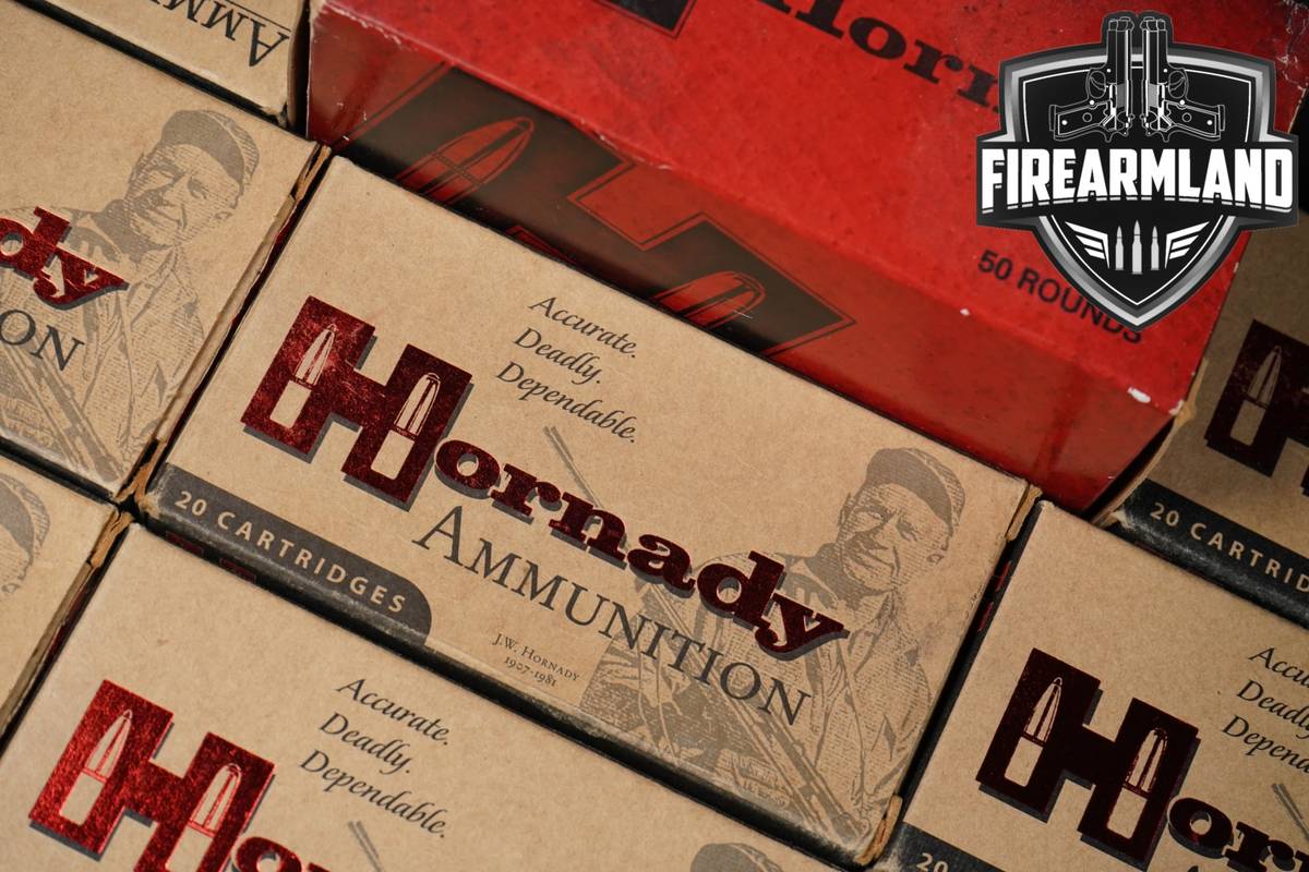 310 RDS! 204 Ruger Ammo Ammunition