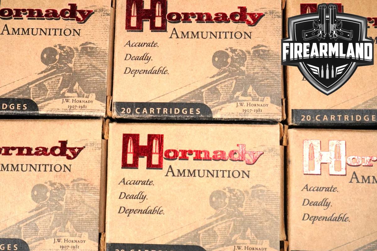 160 RDS! 50 AE Ammo 50AE Ammunition