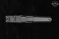CZ P-10 C Optics-Ready 9mm Luger Black in Very Good Condition Image 5