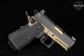 GP Arms LLC Forza 3.1 9mm Luger Two-Tone FDE in Good Condition Image 4