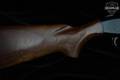 Western Field M550AB 12 Gauge Blued in Good Condition Image 4