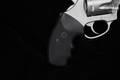 Charter Arms Pitbull .40 S&W Stainless Steel in Very Good Condition Image 3