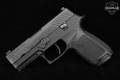 Sig Sauer P320 Carry .40 S&W Black in Excellent Condition Image 3