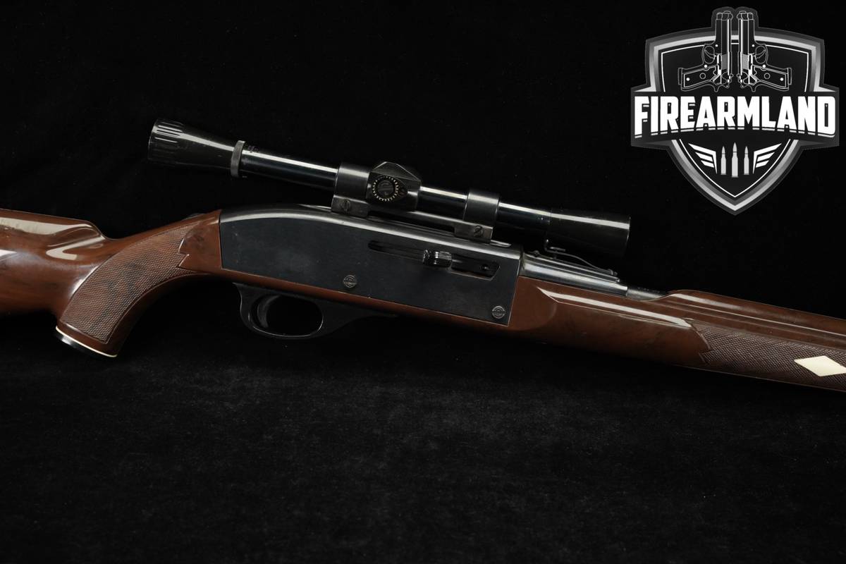 Remington Nylon 66 Mohawk Brown MB 22LR 19 +WEAVER SCOPE