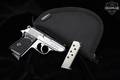 Walther PPK Stainless .380 ACP Stainless Steel in Very Good Condition Image 2