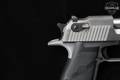 Magnum Research Desert Eagle Mark-XIX .429 DE Magnum (Desert Eagle) Stainless Steel in Excellent Condition Image 5