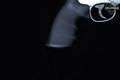 2004 Smith & Wesson (S&W) Model 617-5 .22 LR Stainless Steel in Very Good Condition Image 3