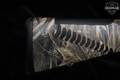 2014 Benelli Super Black Eagle II Rob Roberts Custom Waterfowler 12 Gauge Realtree Max-5 in Very Good Condition Image 3