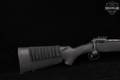 Savage Arms Model 10 .308 Win. Black in Excellent Condition Image 4