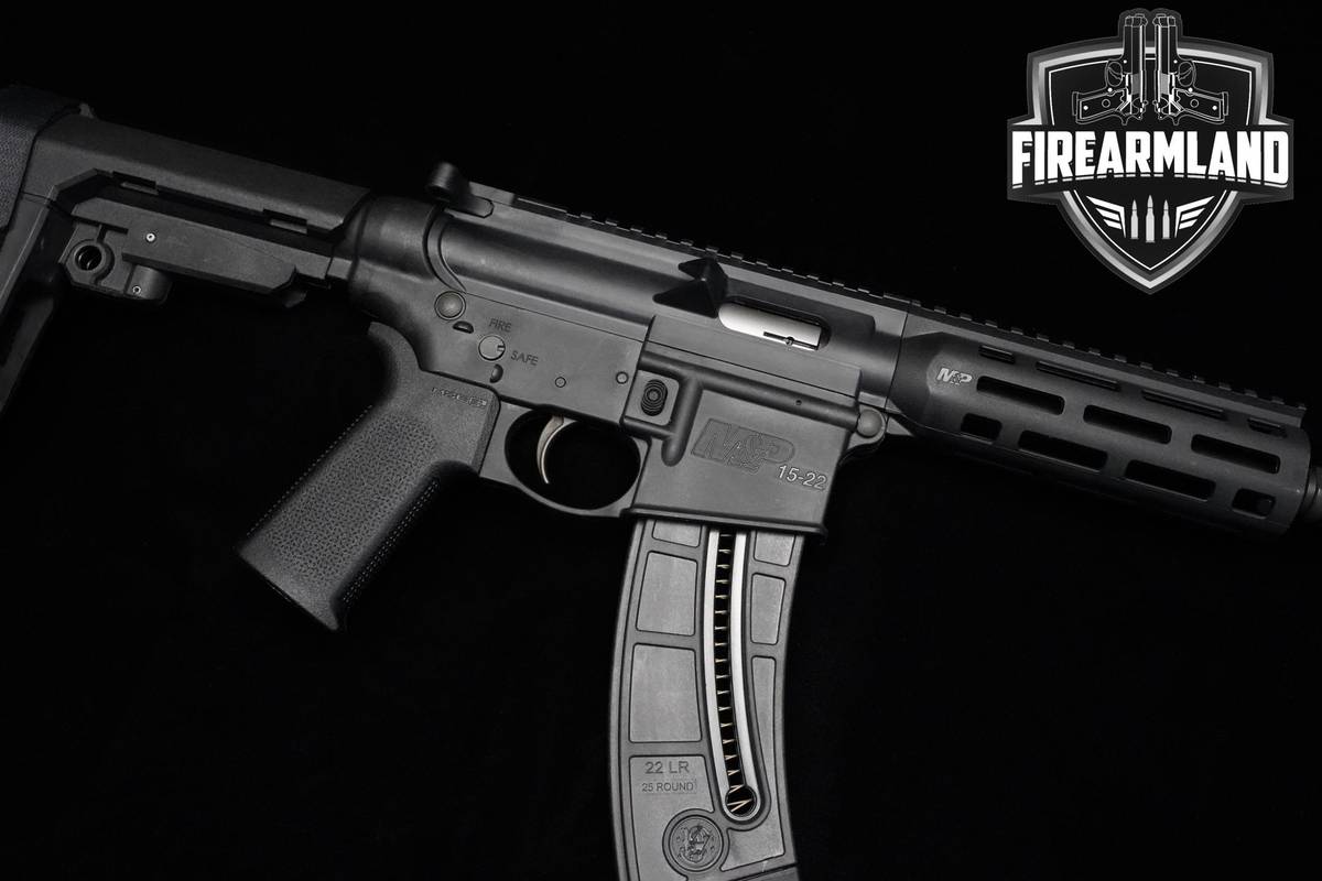 Smith & Wesson (S&W) M&P15-22P 22LR AR-15 AR15 AR 8" S&W-M&P15-22P ORIG BOX