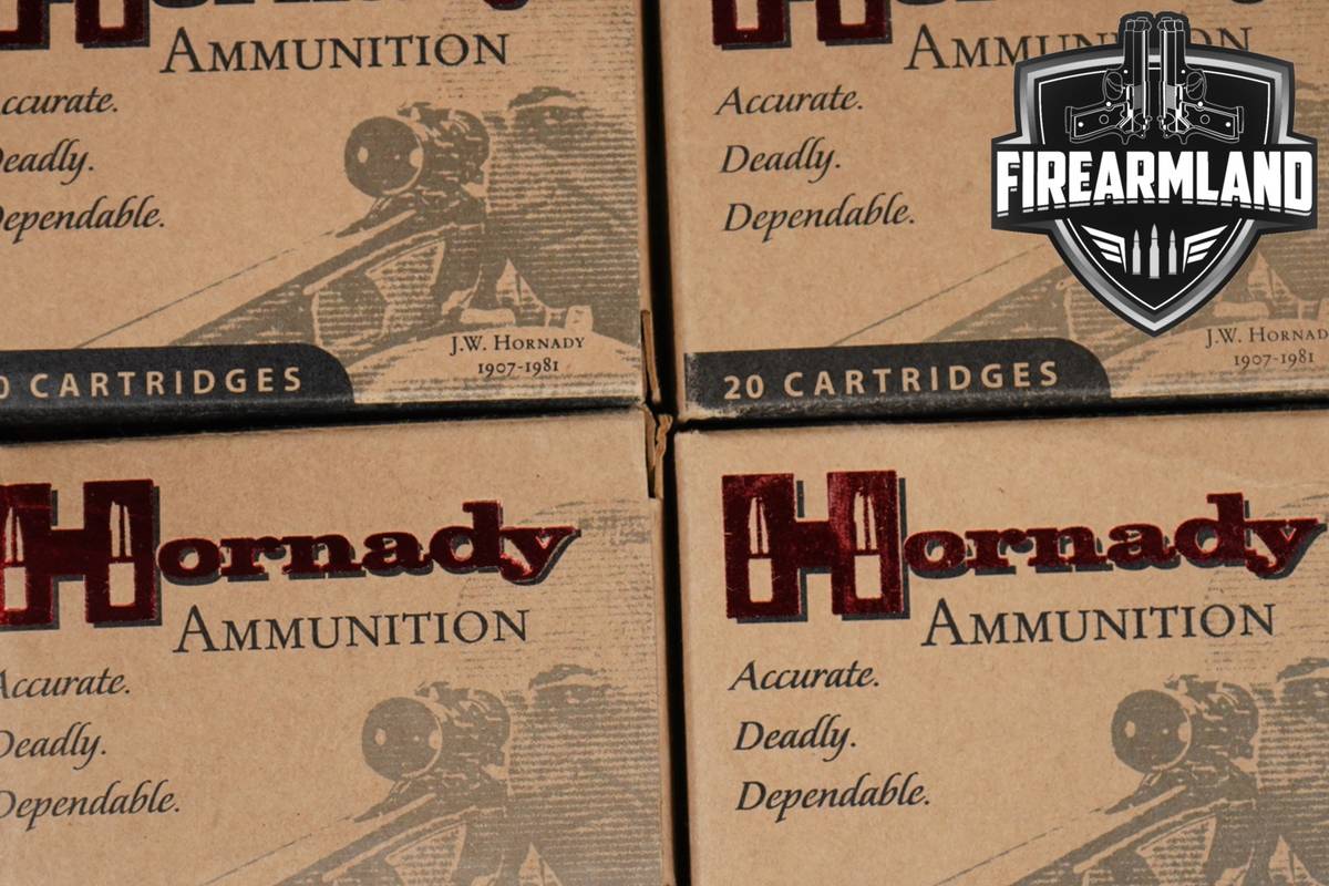 100 RDS! 50 AE Ammo 50AE Ammunition