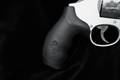 Smith & Wesson (S&W) Governor Silver .45 LC/.410 Matte Silver in Excellent Condition Image 3