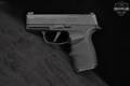 Sig Sauer P365X 9mm Luger Black in Very Good Condition Image 3
