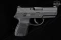 Sig Sauer P250 Subcompact .45 ACP Black in Excellent Condition Image 3