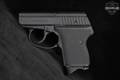 L.W. Seecamp (LW Seecamp) LWS 380 .380 ACP Black in Very Good Condition Image 3