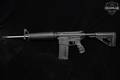Palmetto State Armory (PSA) G3-10 .308 Win. Black in Excellent Condition Image 2