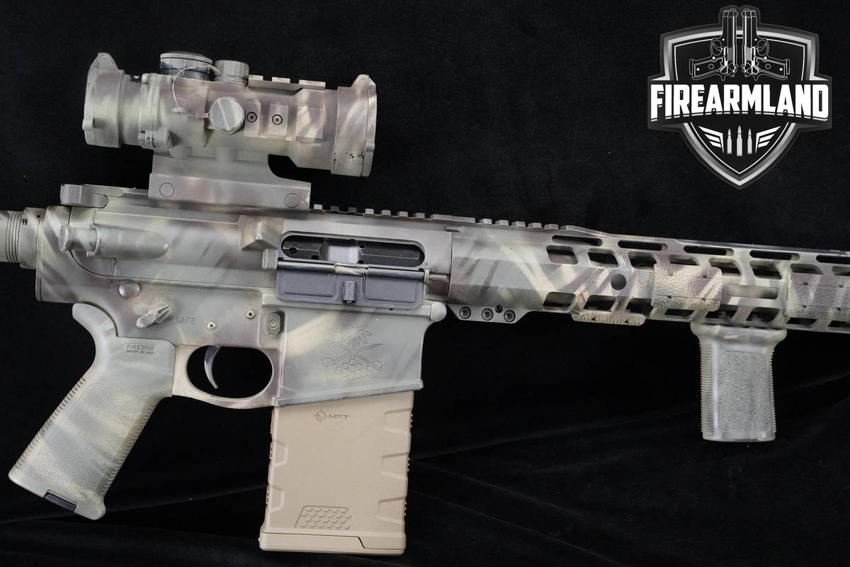 Palmetto State Armory (PSA) SABRE-10 308 NATO PSA-SABRE-10 +6 MAGS & OPTIC