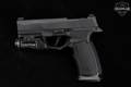 Sig Sauer P365-XMACRO Icarus grip module (aftermarket) 9mm Luger Black in Very Good Condition Image 5