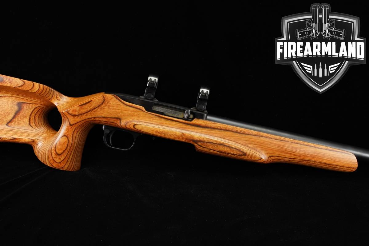 CUSTOM Ruger 10/22 Magnum 17 HMR 20 Blued & Laminated Wood 10 22 1022