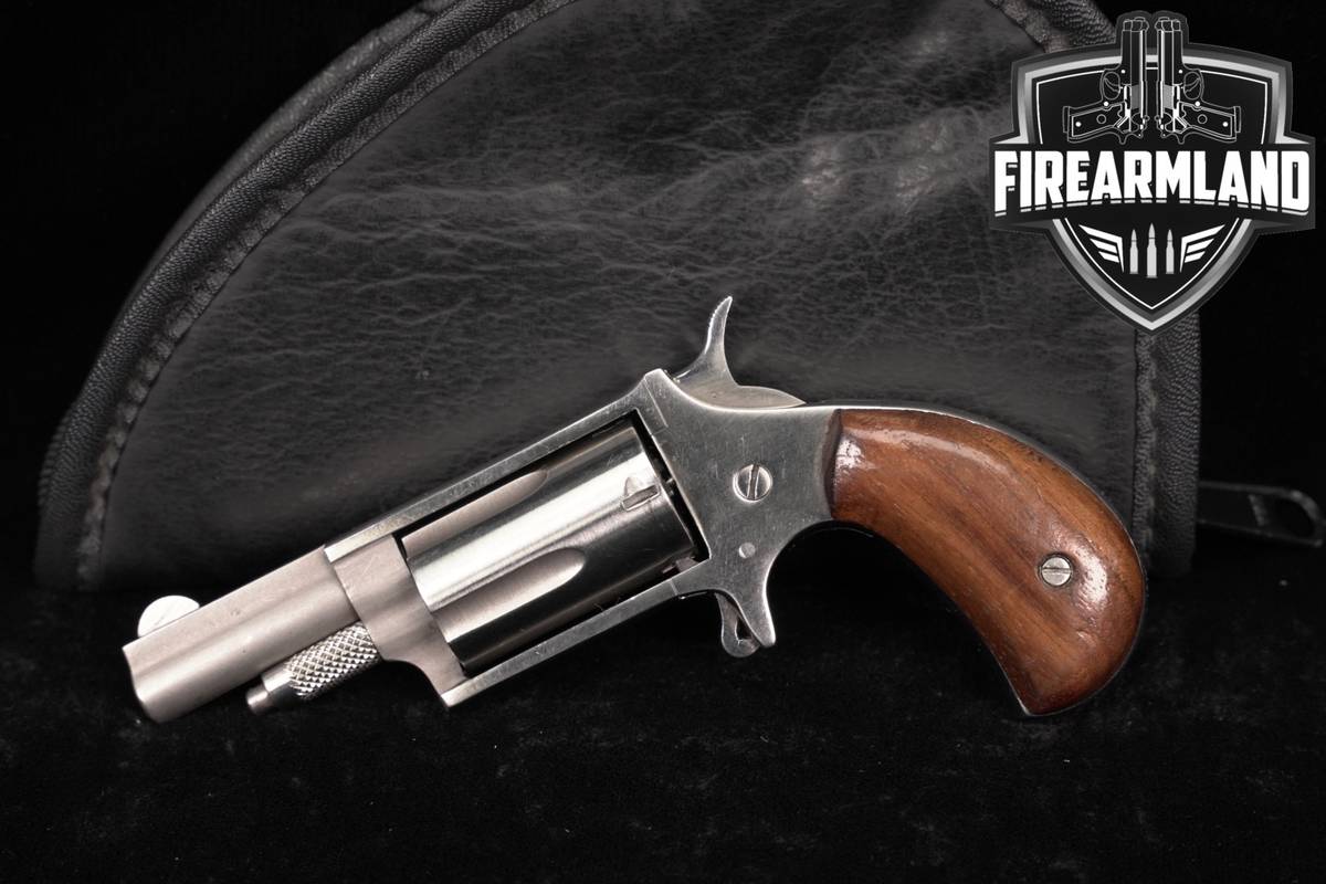 North American Arms NAA-22M 22WMR 1.625" Stainless 22-M