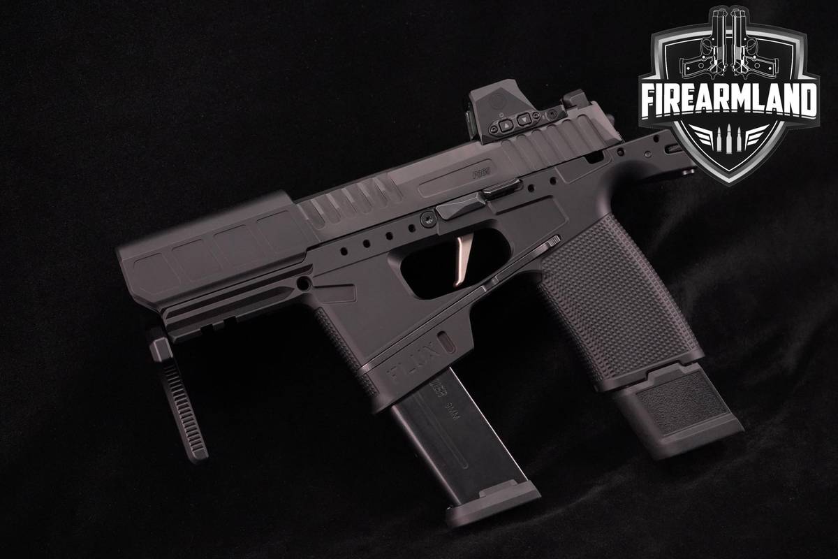 FLUX RAIDER Sig Sauer P365 FUSE 9mm 4.3" P-365 XFuse +ROMEO-X & 3 MAGS