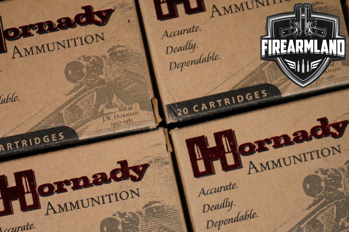 100 RDS! 50 AE Ammo 50AE Ammunition
