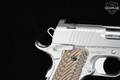 2020 Dan Wesson Specialist Commander .45 ACP Stainless Steel in Very Good Condition Image 5