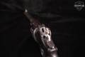 1896 MAS Model 1892 8mm French Ordnance Blued in Good Condition Image 5