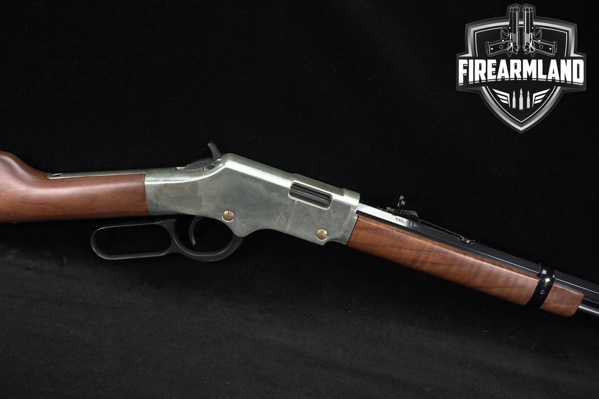Henry Golden Boy 22LR 20" Octagonal Barrel Silver/Gray & Walnut