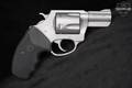 Charter Arms Pitbull 9mm Luger 9mm Luger Stainless in Good Condition Image 4