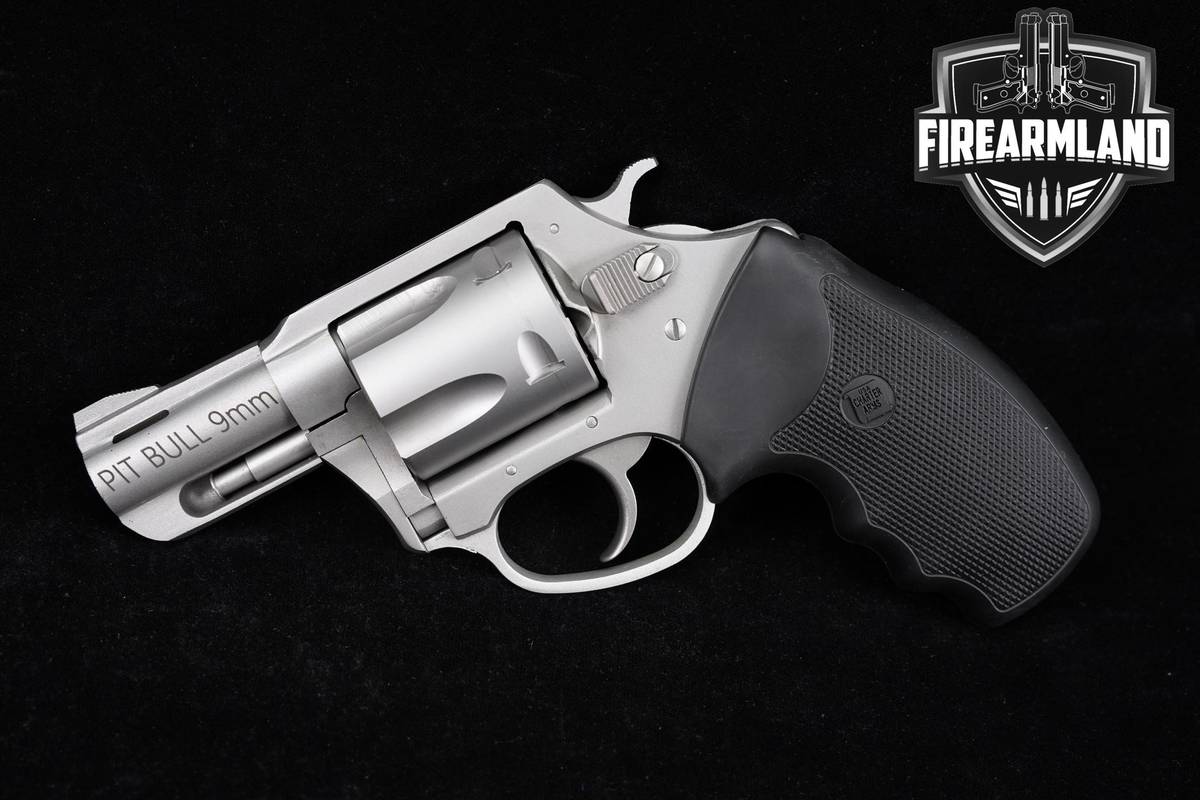 PERSONAL PROTECTION Charter Arms Pitbull 9mm 2.2" Stainless DA/SA Revolver