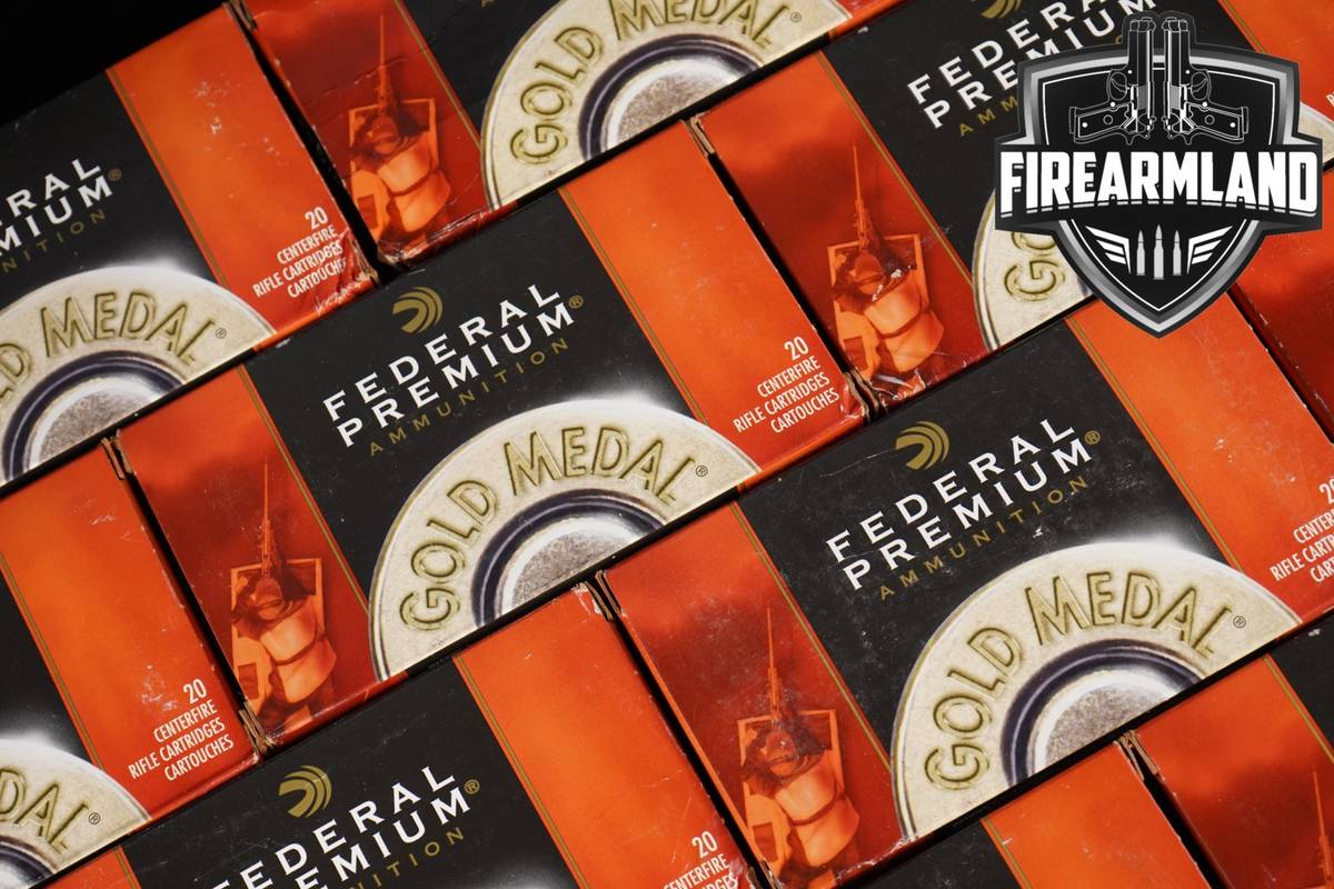 240 RDS! 308 Winchester Ammo Ammunition