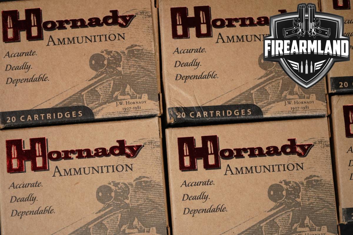 120 RDS! 454 Casull Ammo Ammunition