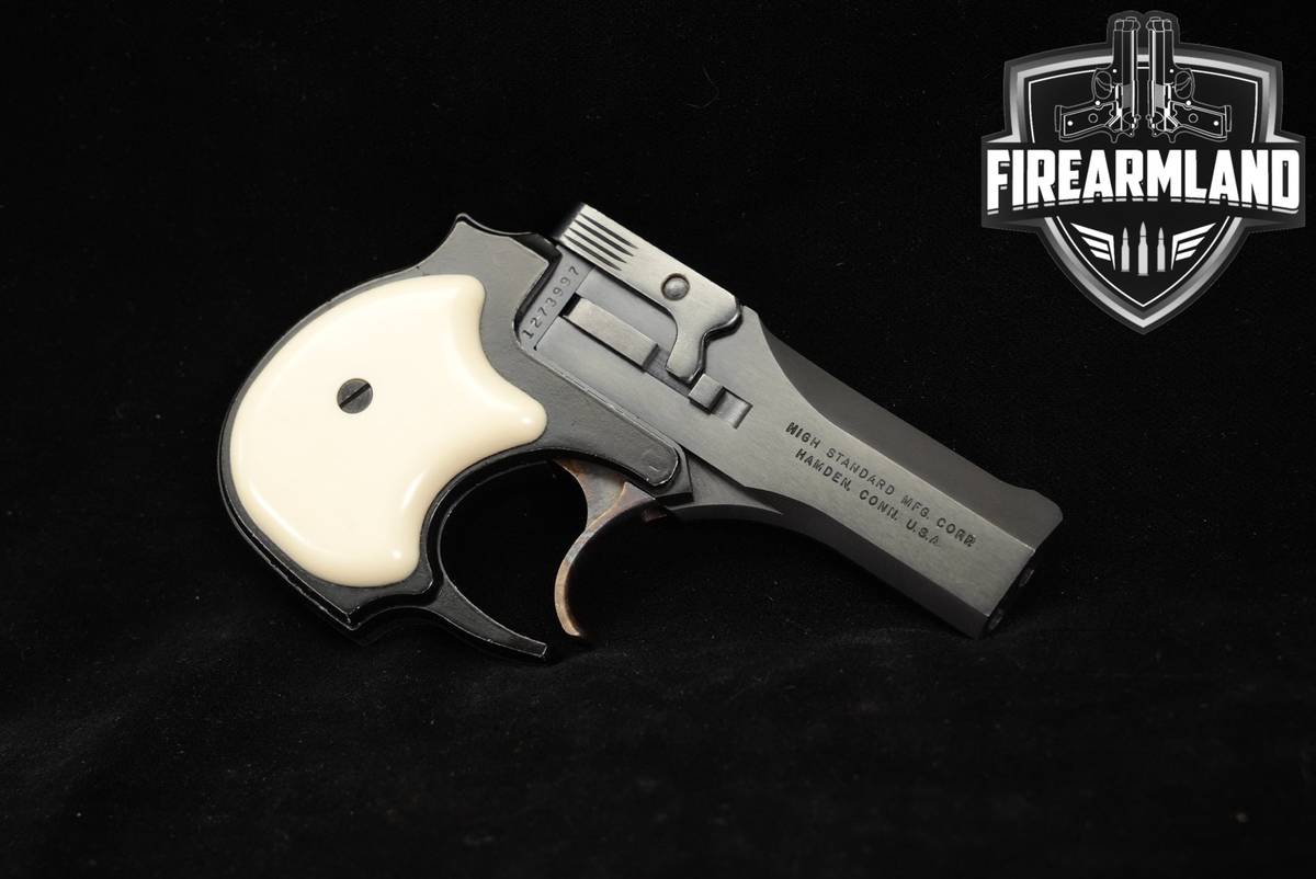High Standard Mod D-100 Type 1 (Eagle-Logo, Hamden-marked) 22LR 3.5" D100