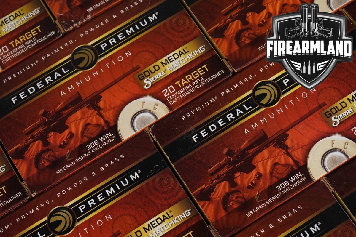 200 RDS! 308 Winchester Ammo Ammunition