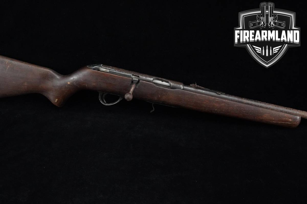 Savage Arms Model 65 22 S/L/LR 20"
