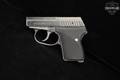 L.W. Seecamp (LW Seecamp) LWS-32 .32 ACP Stainless in Very Good Condition Image 3