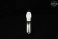 L.W. Seecamp (LW Seecamp) LWS-32 .32 ACP Stainless in Very Good Condition Image 5
