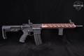 Spikes Tactical SL-15 Punisher 5.56mm NATO Black Hard Coat Anodized in Very Good Condition Image 3