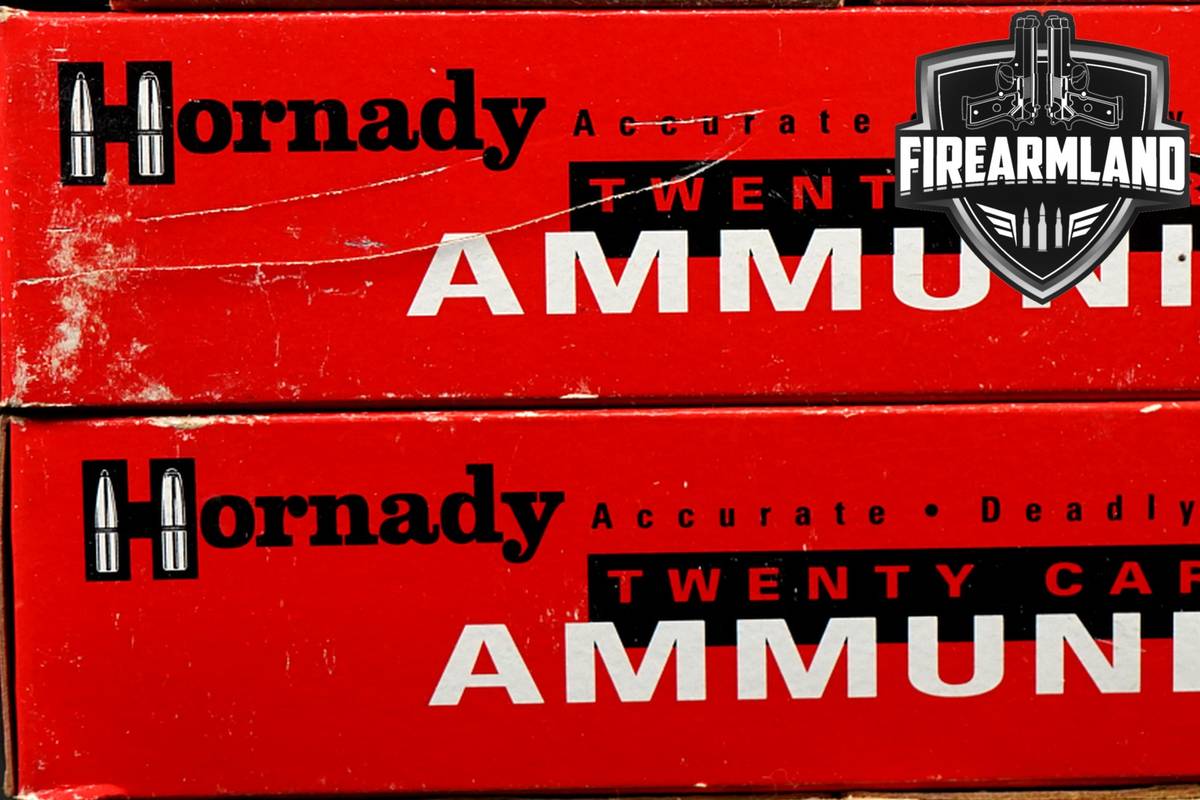 120 RDS! 454 Casull Ammo Ammunition