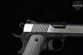 Tisas USA C10 Yukon Lipsey's Exclusive 10mm Two-Tone in Excellent Condition Image 5